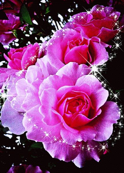 gif flores|free flowers gif.